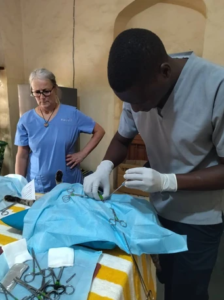 Trap-Neuter-Return-Campaign-Malindi-Clinic-Volunteer2